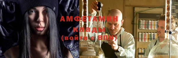 spice Инта