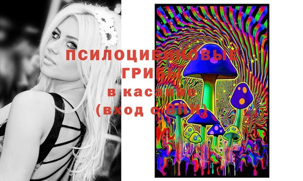 бошки Инсар