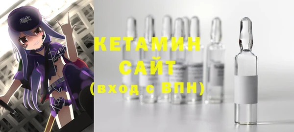 spice Инта
