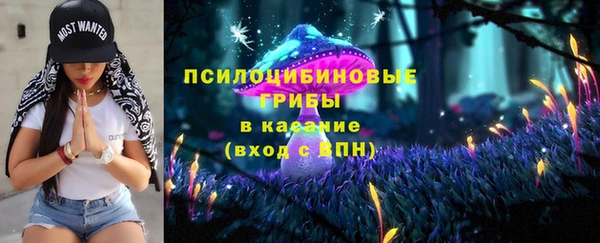 spice Инта
