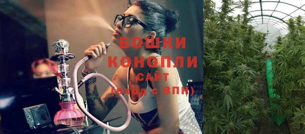 spice Инта