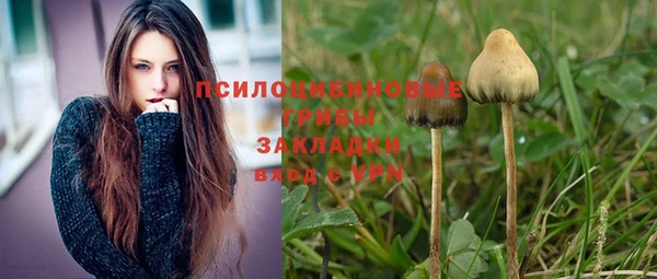 бошки Инсар