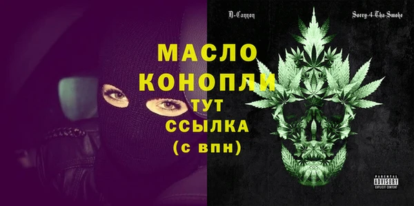 spice Инта