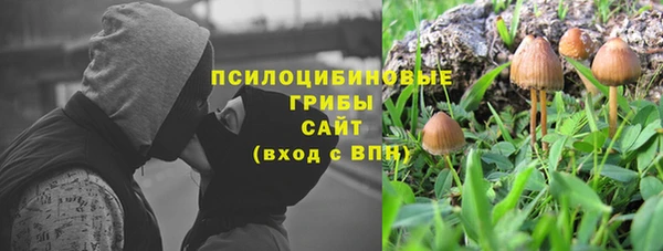 бошки Инсар