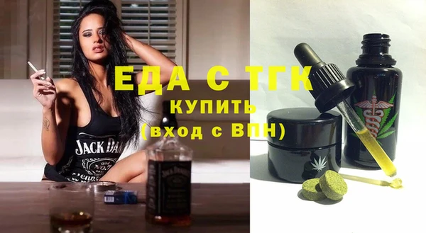 spice Инта
